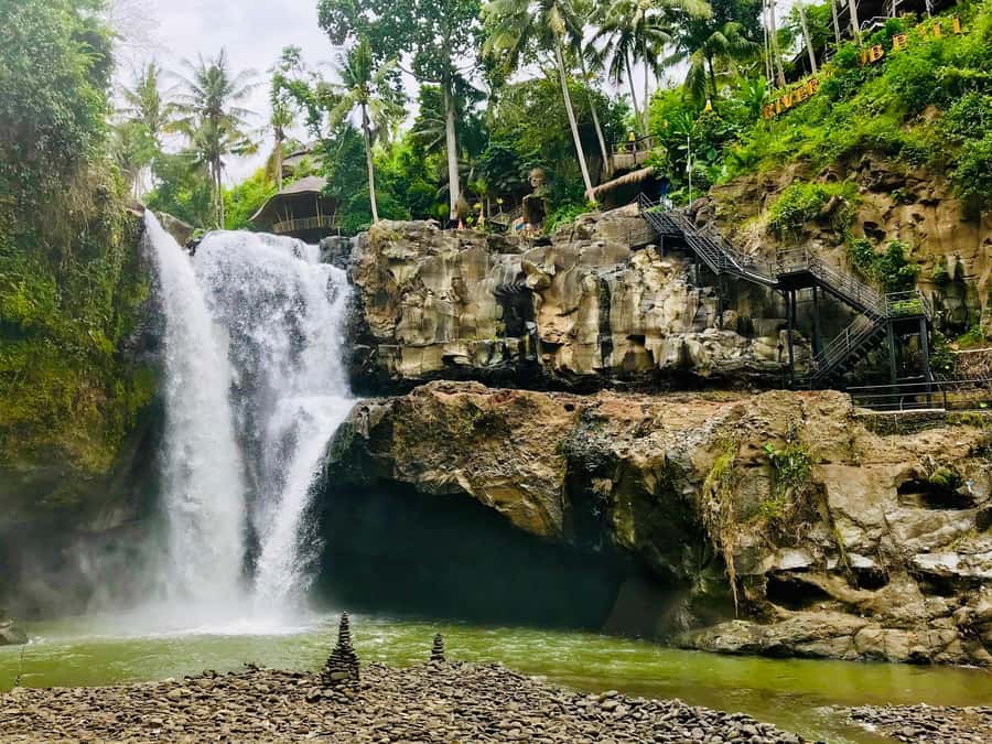 Ubud: Waterfall, Ricefield, Purification Ritual Private Tour - Three sides of Bali in six hours