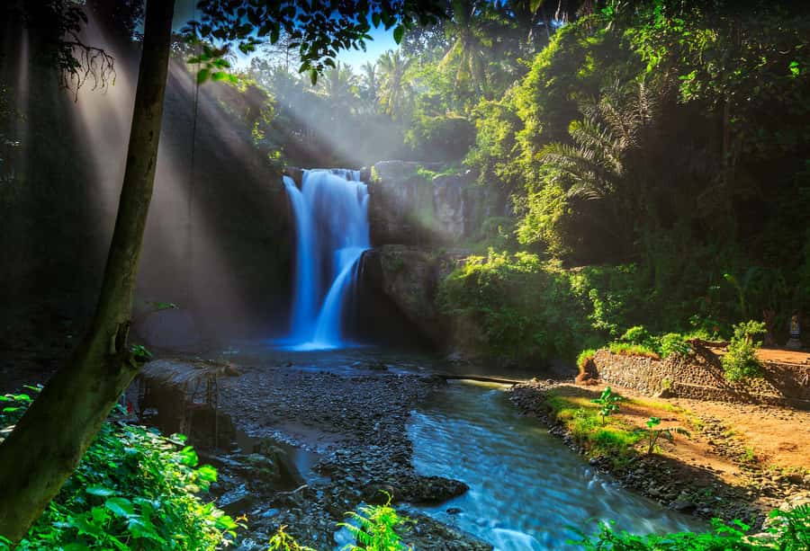 Ubud: Waterfall, Ricefield, Purification Ritual Private Tour - Tegallalang Rice Terrace: look beyond the famous view