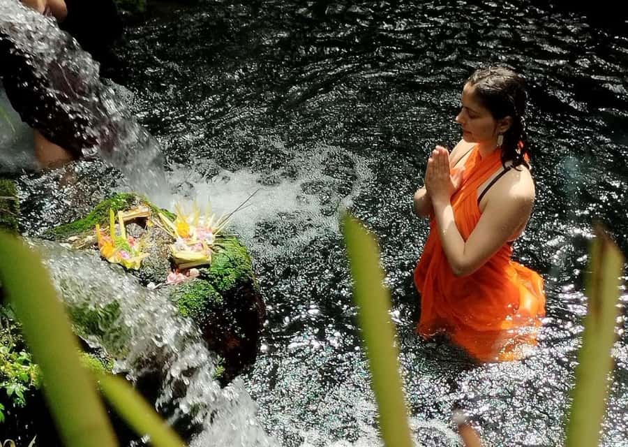 Ubud: Waterfall, Ricefield, Purification Ritual Private Tour - What the private guide adds