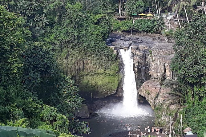 Ubud Waterfall Swing And Spring Temple Private Guided Tour - Ubud Monkey Forest: close encounters with a warning