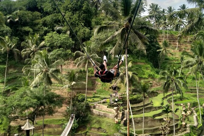 Ubud Waterfall Swing And Spring Temple Private Guided Tour - Happy Swing Bali: photo fun with an extra charge