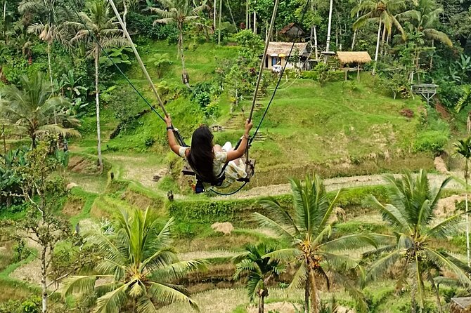 Ubud Waterfall Swing And Spring Temple Private Guided Tour - Tirta Empul: the day’s most meaningful stop