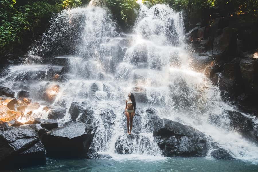 Ubud: Waterfall, Water Temple and Monkey forest Private Tour - Monkey Forest: temples, trees, and mischievous macaques