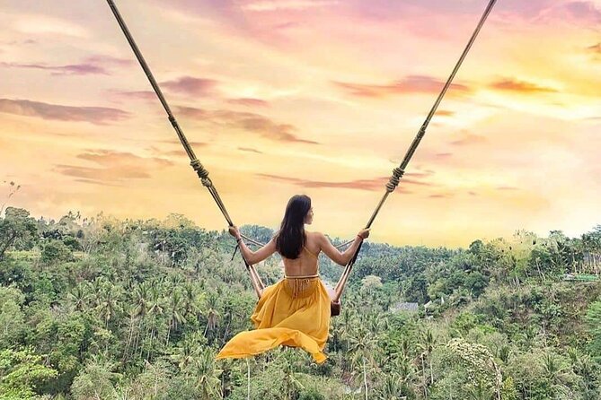 Ubud Waterfalls, Rice Terrace & Jungle Swing - Private Tour - How the transport changes the day
