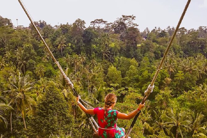 Ubud Waterfalls, Rice Terrace & Jungle Swing - Private Tour - What the $23.38 price really includes
