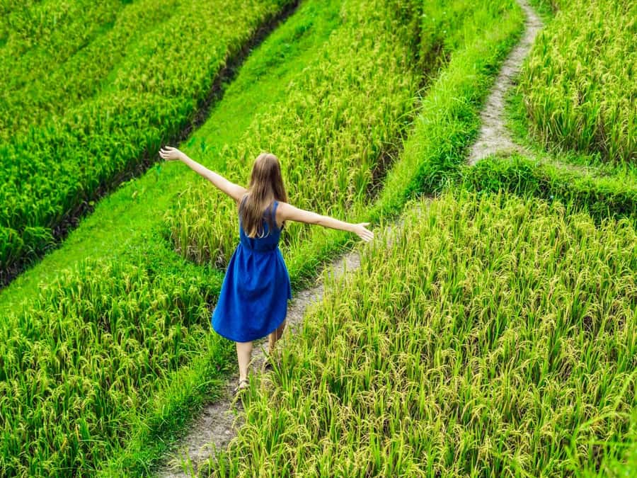 Ubud: Waterfalls, Sacred Monkey Forest & Rice Terraces Tour - Key points to know before booking