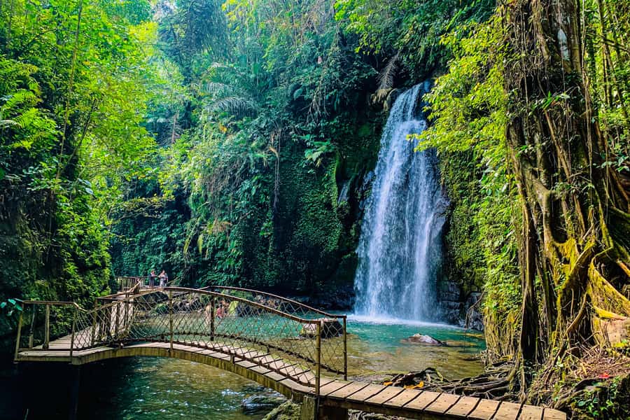 Ubud: Waterfalls, Sacred Monkey Forest & Rice Terraces Tour - A private route through Ubud’s countryside