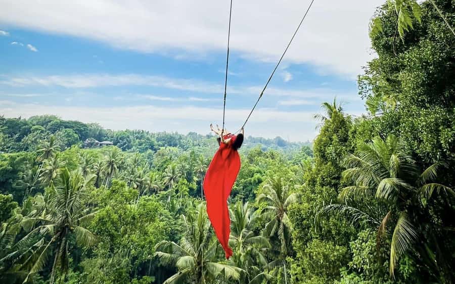 Ubud: Waterfalls, Sacred Monkey Forest & Rice Terraces Tour - Lunch at Waroeng De Koi