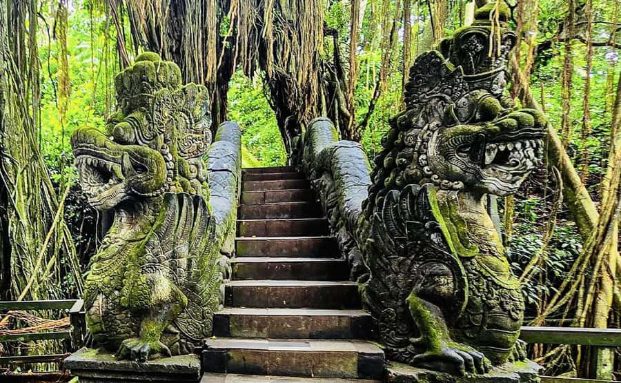 Ubud: Waterfalls, Sacred Monkey Forest & Rice Terraces Tour - Coffee traditions at Pemulan Bali Coffee Plantation