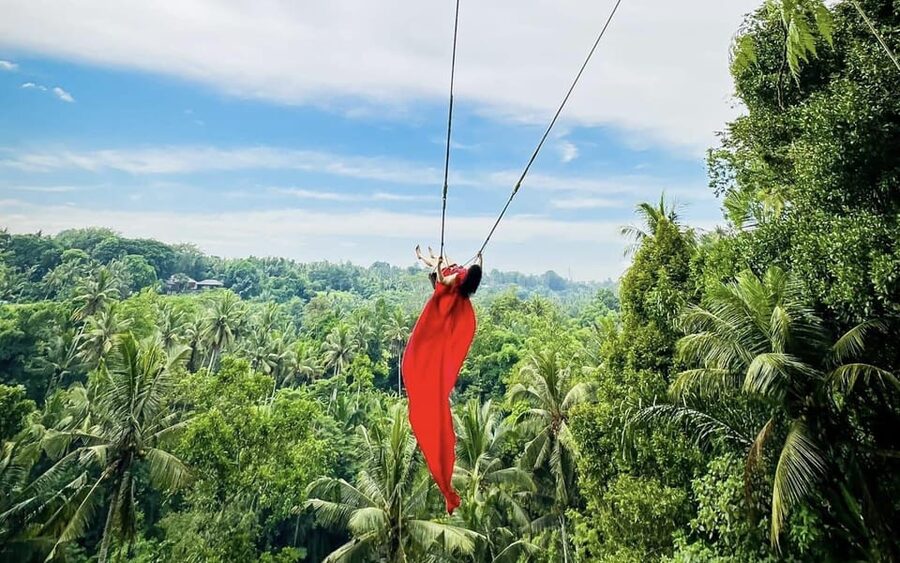 Ubud: Waterfalls, Sacred Monkey Forest & Rice Terraces Tour - What the $19 price really covers