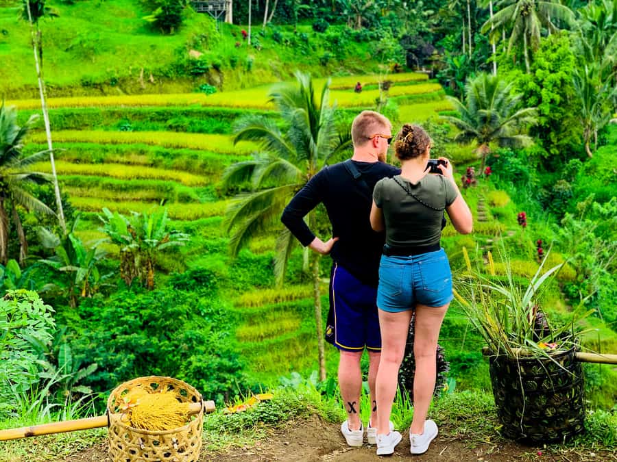 Ubud: Waterfalls, Sacred Monkey Forest & Rice Terraces Tour - Who will enjoy this Ubud day
