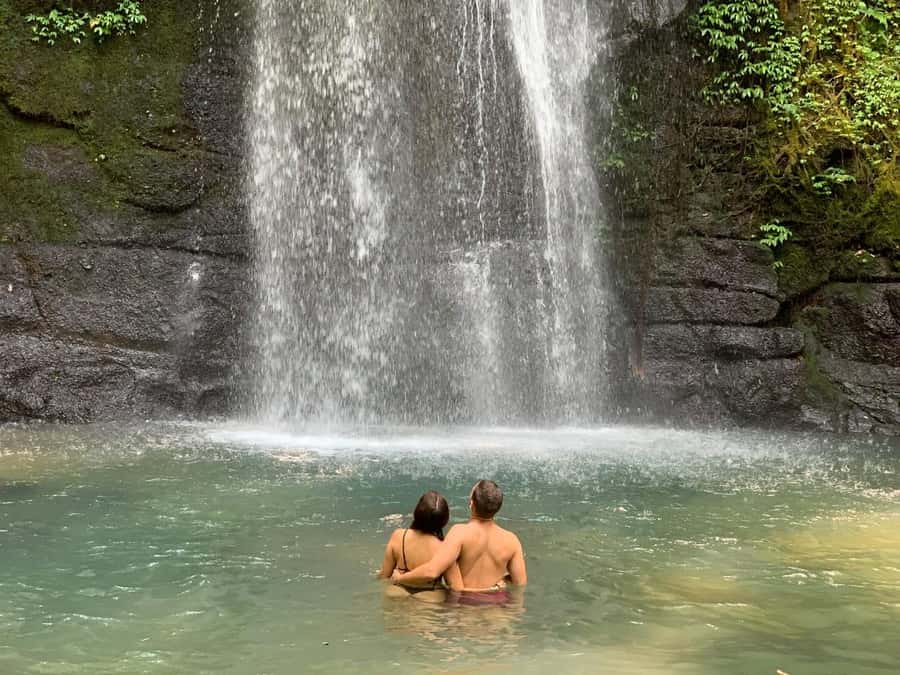 Ubud: Waterfalls, Sacred Monkey Forest & Rice Terraces Tour - Meeting Bali’s macaques at the Sacred Monkey Forest