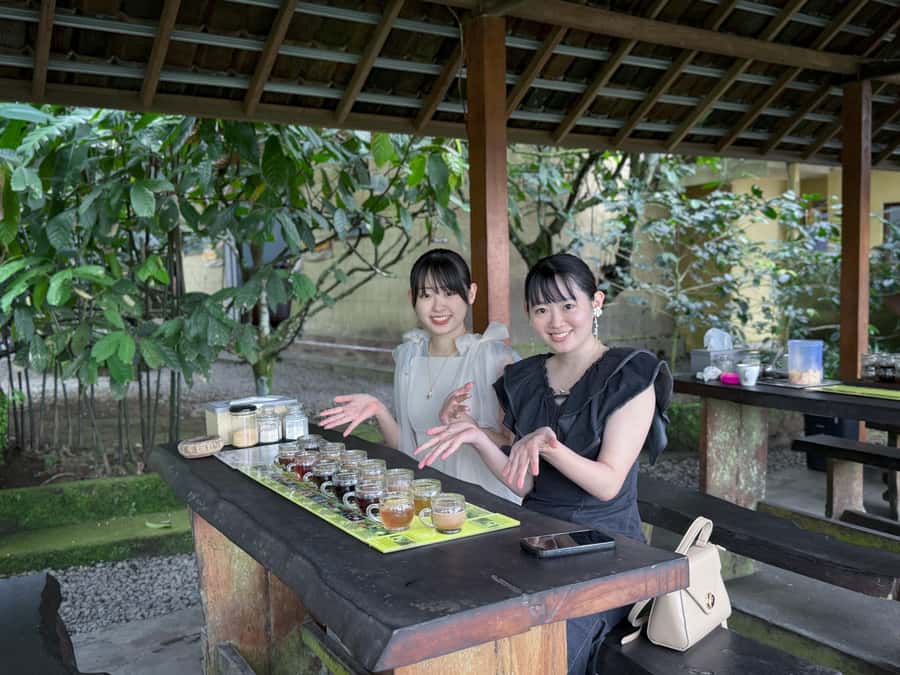 Ubud: Waterfalls, Temple, Monkey Forest Private Tour - What the $24 price really buys