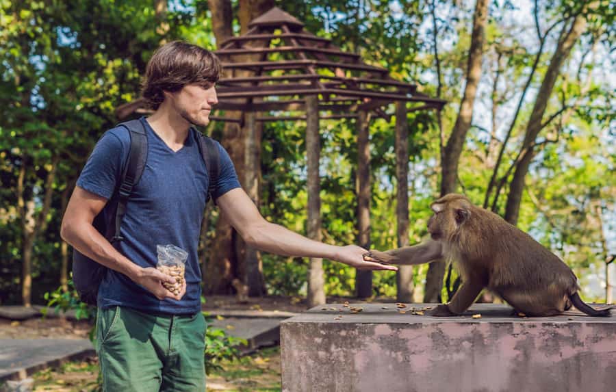 Ubud: Waterfalls, Temple, Monkey Forest Private Tour - Tibumana offers a calm jungle pool