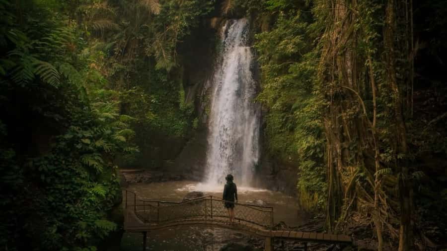 Ubud: Waterfalls, Temple, Monkey Forest Private Tour - Tirta Empul brings the day into Bali’s spiritual world