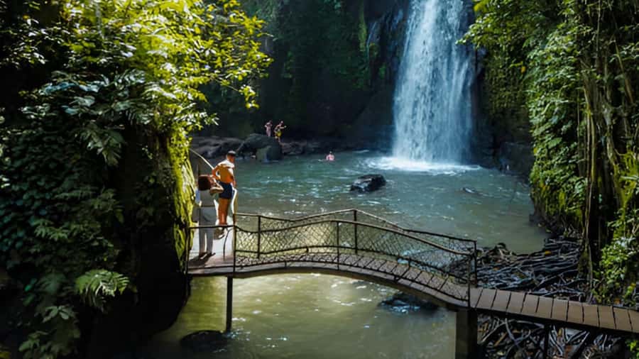 Ubud: Waterfalls, Temple, Monkey Forest Private Tour - Ubud Monkey Forest adds the lively finale