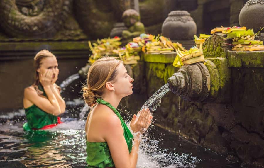 Ubud: Waterfalls, Temple, Monkey Forest Private Tour - Madia and Teguh show why private guiding matters