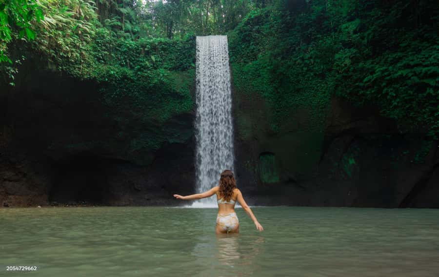 Ubud: Waterfalls, Temple, Monkey Forest Private Tour - Ulu Petanu Waterfall starts the day quietly