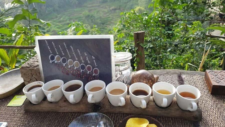 Ubud: Waterfalls, Temple & Rice Terraces Private Tour - Who will enjoy this Ubud day tour most?