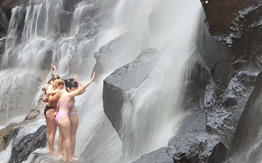 Ubud: Waterfalls, Temple & Rice Terraces Private Tour - Should you book it?
