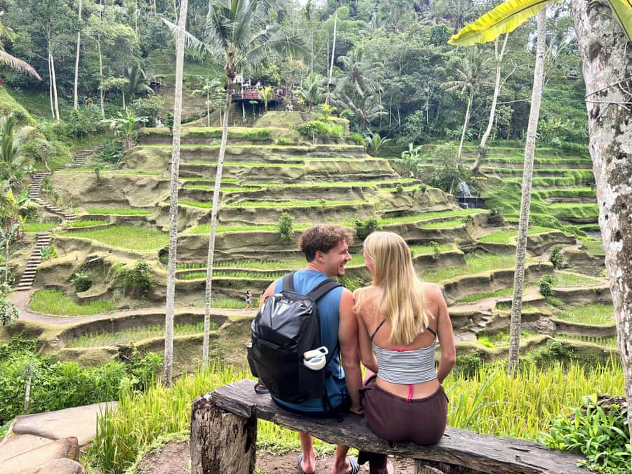 Ubud: Waterfalls, Water Temple & Rice Terraces Private Tour - What this Ubud tour is really trying to do