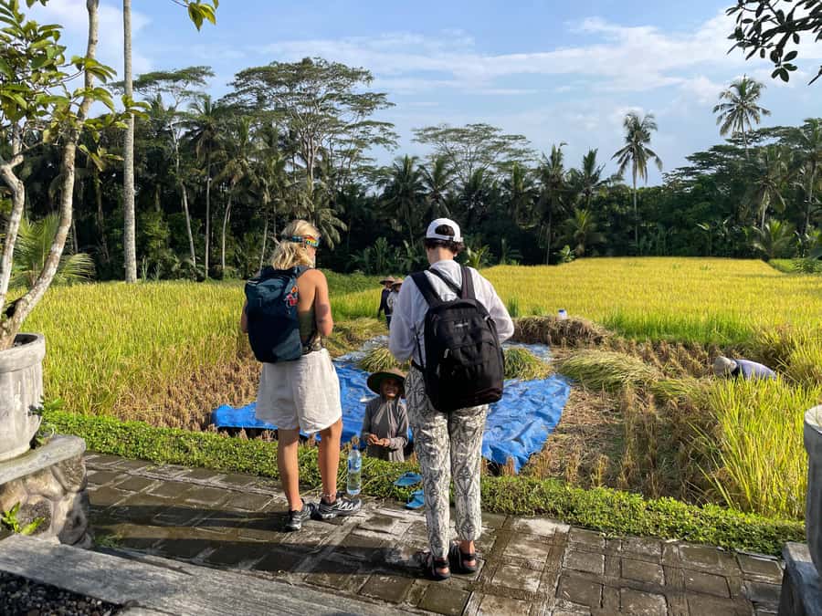 Ubud: Waterfalls, Water Temple & Rice Terraces Private Tour - Weather can reshape the entire day