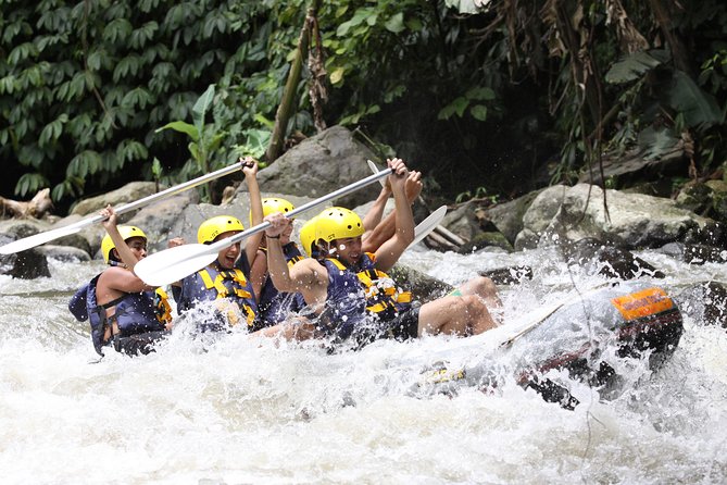 Ubud White Water Rafting, Rice Terrace and Jungle Swing - Why the private format is useful