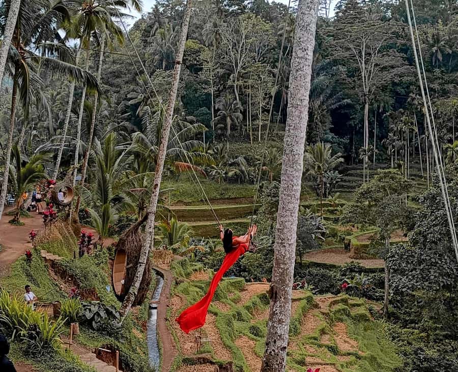 Ubud White Water Rafting with Lunch Included - What happens before and after the river