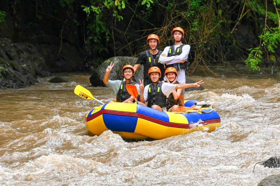 Ubud White Water Rafting with Lunch Included - Forest, paddies, and villages from the water