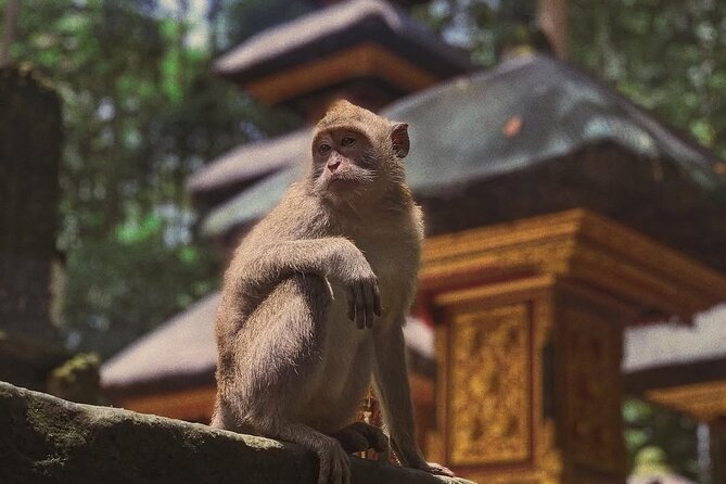 Ubud: White Water Rafting with visit Ubud Monkey Forest - Weather, packing, and timing