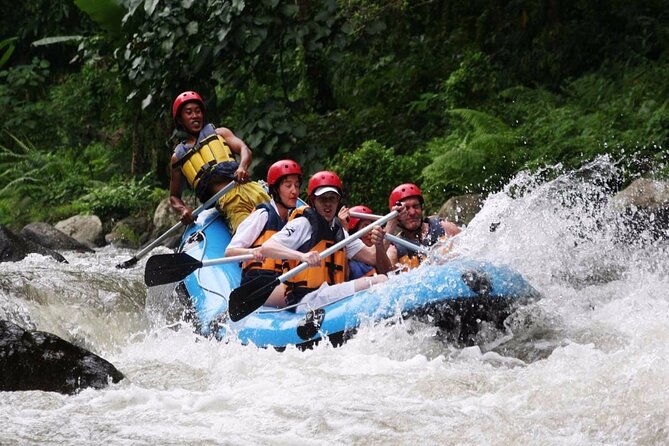 Ubud White Water Rafting with Waterfall and Lunch - Quick take: the details that matter most