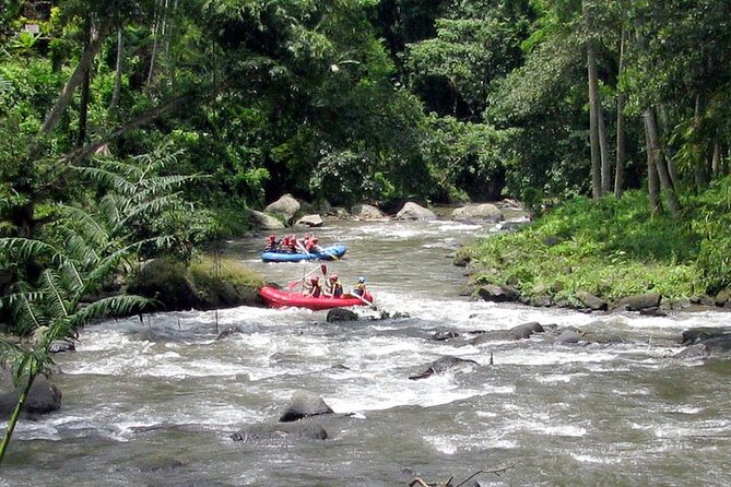 Ubud White Water Rafting with Waterfall and Lunch - Waterfalls, cliffs, and the river’s best stops