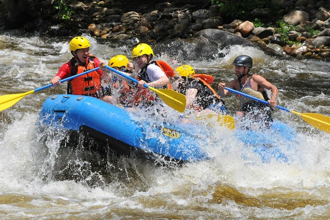 Ubud White Water Rafting with Waterfall and Lunch - Is $26.97 a good deal?