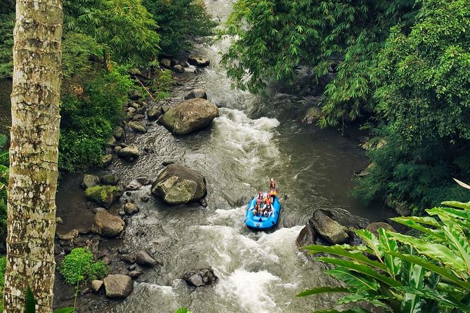 Ubud White Water Rafting with Waterfall and Lunch - The long walk down to the water