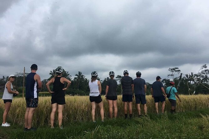 Ubud Wonderful Half Day Downhill Cycling Tour with Lunch - Manukaya offers the main two-hour ride