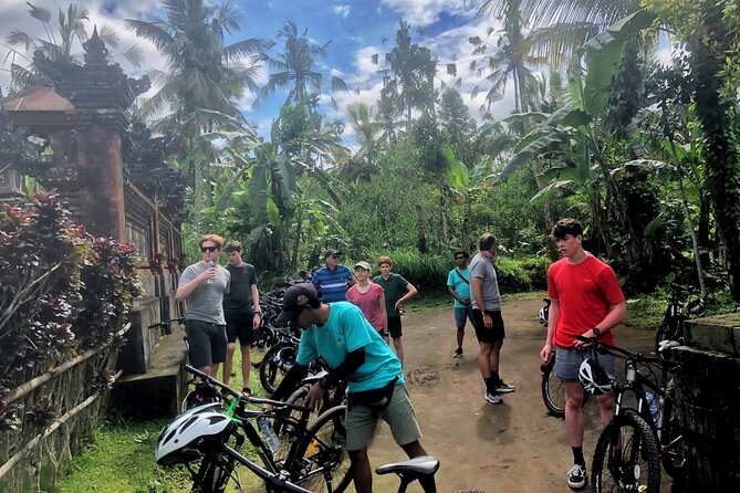 Ubud Wonderful Half Day Downhill Cycling Tour with Lunch - Local homes, rice fields, and a temple area