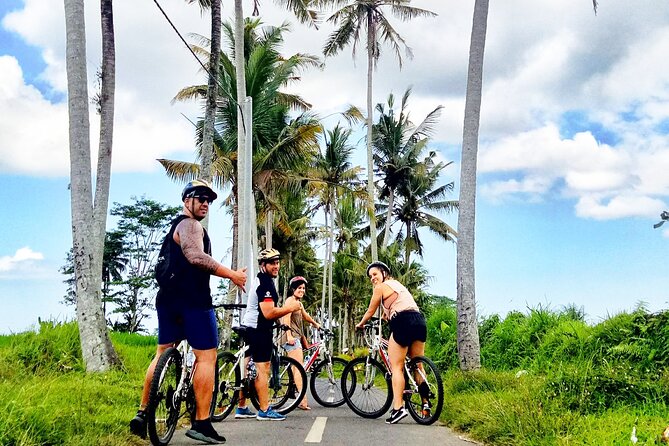 Ubud Wonderful Half Day Downhill Cycling Tour with Lunch - Balai Laplapan lunch is more than a stop for fuel