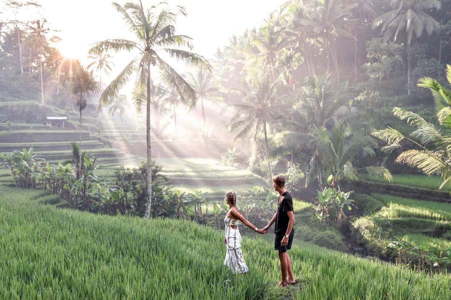 Ubud: Zip-line Adventure, River Rafting & Rice Terraces Tour - Key points to know before booking
