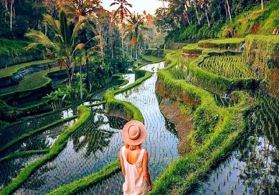 Ubud: Zip-line Adventure, River Rafting & Rice Terraces Tour - Lunch, showers, and the practical reset