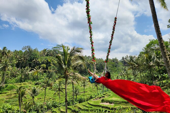 Ubud: Zipline, Bali Swing, and Sky Bike in a Private Rice Terrace - Who will enjoy this most?