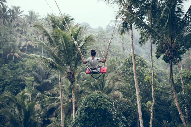 Ultimate Ubud - Tegalalang Rice Terraces and the subak system