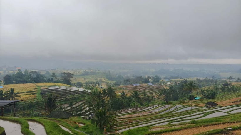 Ulun Danu Beratan Temple, Jatiluwih, Banyumala waterfall - What the guides add to the day