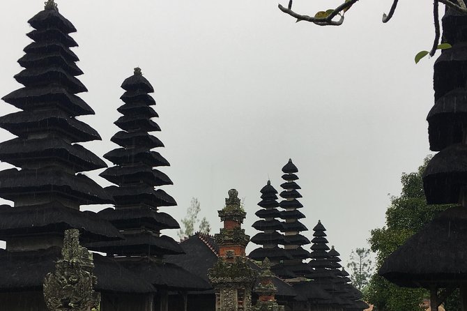 UNESCO World Heritage Tour - Who should book this Bali day tour?