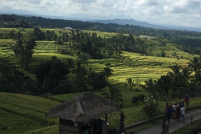 UNESCO World Heritage Tour - Ulun Danu Bratan beside Lake Beratan