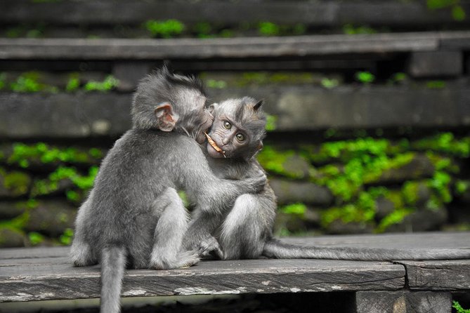 Utterly Ubud - Is $148.99 a fair price?