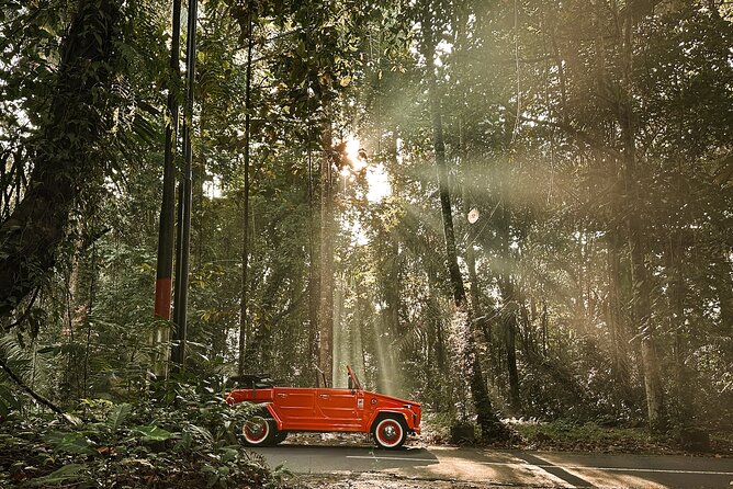 Vintage Volkswagen Bali Tour - Cooling off at Tegenungan Waterfall