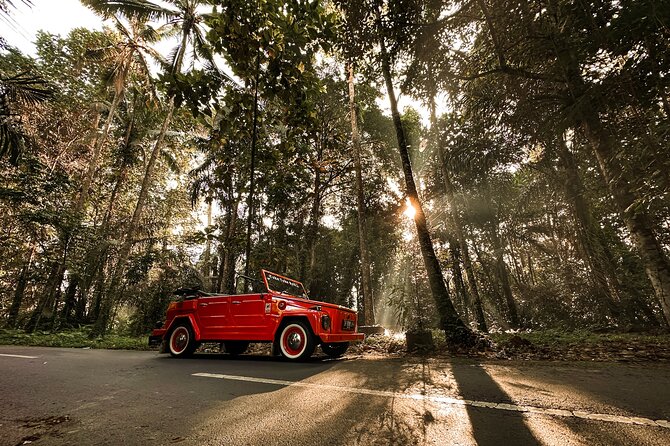 Vintage Volkswagen Bali Tour - Meeting local life in Delodsema Village