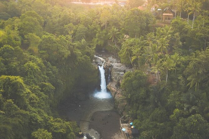 Volcano Bali Tour with Ubud Village - Tegenungan Waterfall - Rice Terrace - Kintamani Highland is the tour’s main scenic target