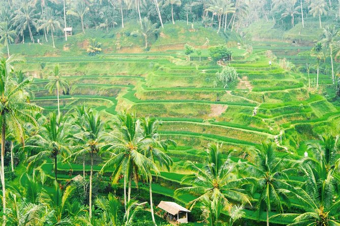 Volcano Jeep Adventure and Ubud Tour - Lunch, water, and what you still pay for