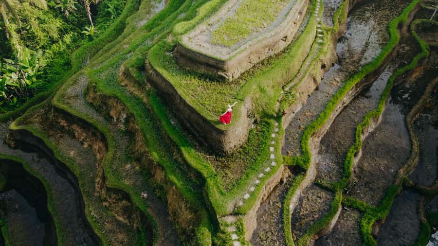 Wanderlust birthday photo and video with drone and Editing - Tegallalang rice terraces: the strongest classic Bali setting